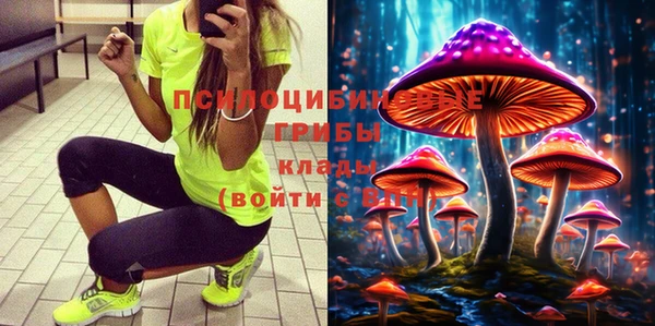 прущие грибы Балабаново