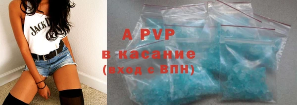 прущие грибы Балабаново
