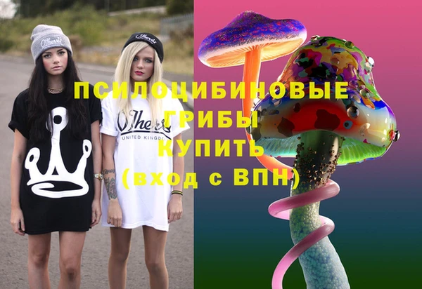 прущие грибы Балабаново