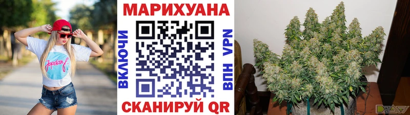 Бошки марихуана планчик  кракен онион  Лениногорск  купить наркотик 